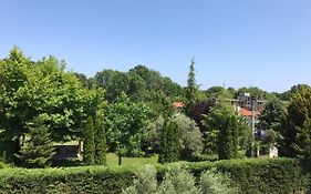 Dimeli